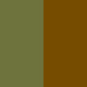 Sunflower / Pistachio